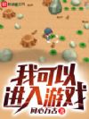 我可以进入游戏