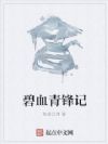 碧血青锋记