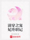 清穿之宠妃升职记